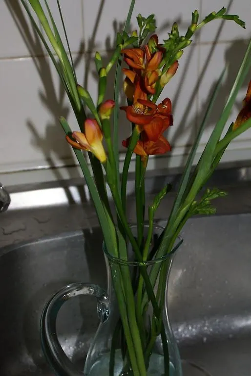 At The Manor Guest House Bath 0*,